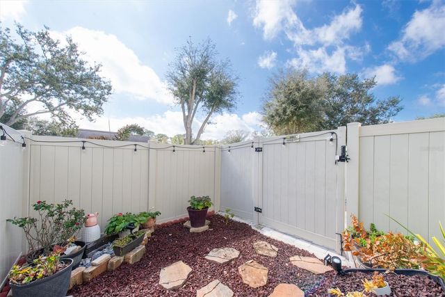 13102 CARROLLWOOD CREEK DRIVE, Tampa, FL 33624