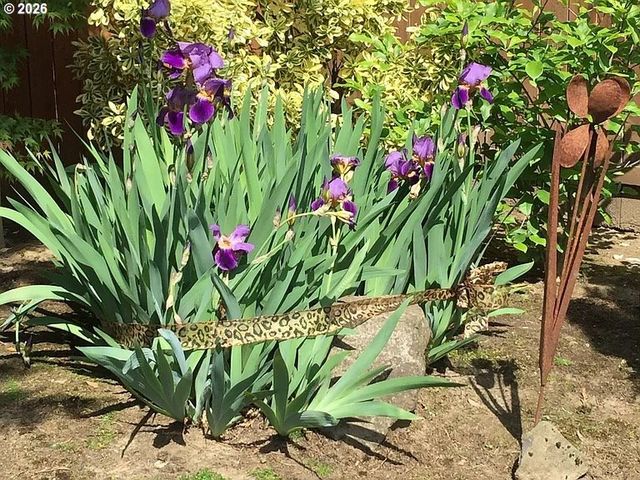 12406 Nw 46TH Ave, Vancouver, WA 98685