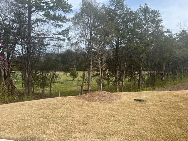 7412 Mcdaniel Lane 01, Ooltewah, TN 37363
