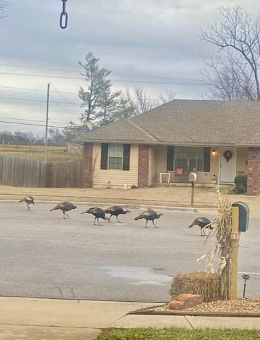 1463 S Tomahawk Avenue, Republic, MO 65738