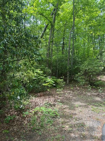 00 Sierra Springs Drive, Murphy, NC 28906