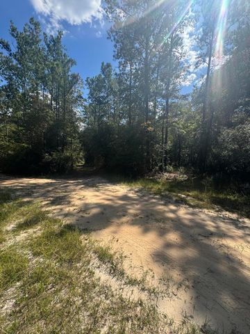 X Eagles Way, Defuniak Springs, FL 32433