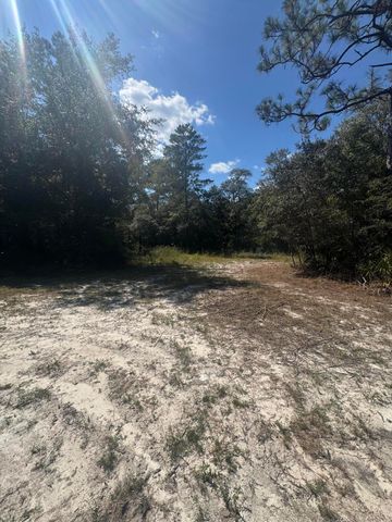 X Eagles Way, Defuniak Springs, FL 32433