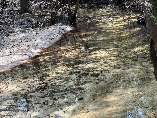 X Eagles Way, Defuniak Springs, FL 32433