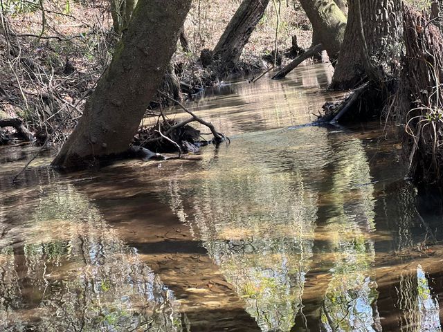 X Eagles Way, Defuniak Springs, FL 32433