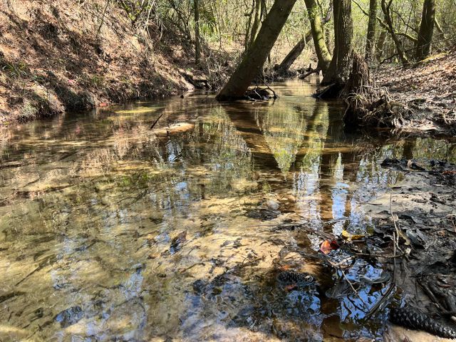 X Eagles Way, Defuniak Springs, FL 32433