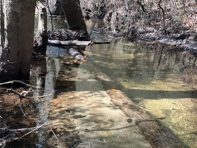 X Eagles Way, Defuniak Springs, FL 32433