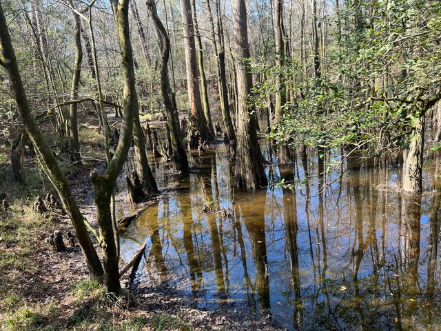 X Eagles Way, Defuniak Springs, FL 32433