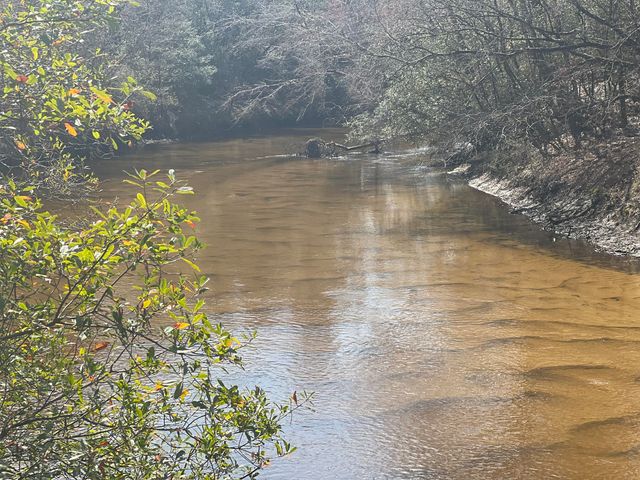 X Eagles Way, Defuniak Springs, FL 32433