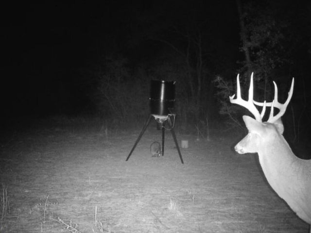 X Eagles Way, Defuniak Springs, FL 32433