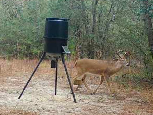 X Eagles Way, Defuniak Springs, FL 32433