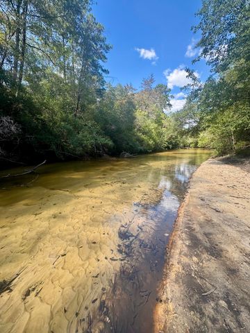 X Eagles Way, Defuniak Springs, FL 32433