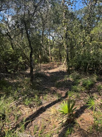 X Eagles Way, Defuniak Springs, FL 32433