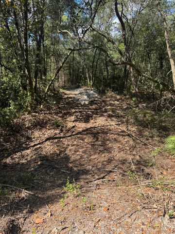 X Eagles Way, Defuniak Springs, FL 32433