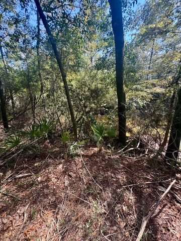 X Eagles Way, Defuniak Springs, FL 32433