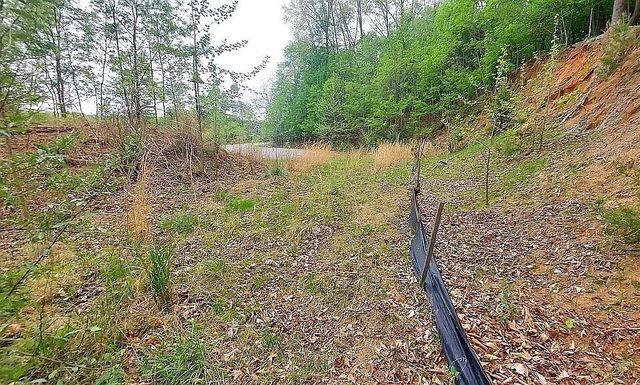64 Lakewatch CIR, Hardy, VA 24101