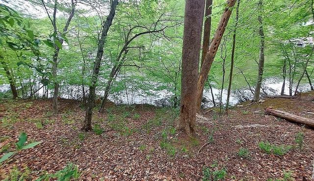 64 Lakewatch CIR, Hardy, VA 24101