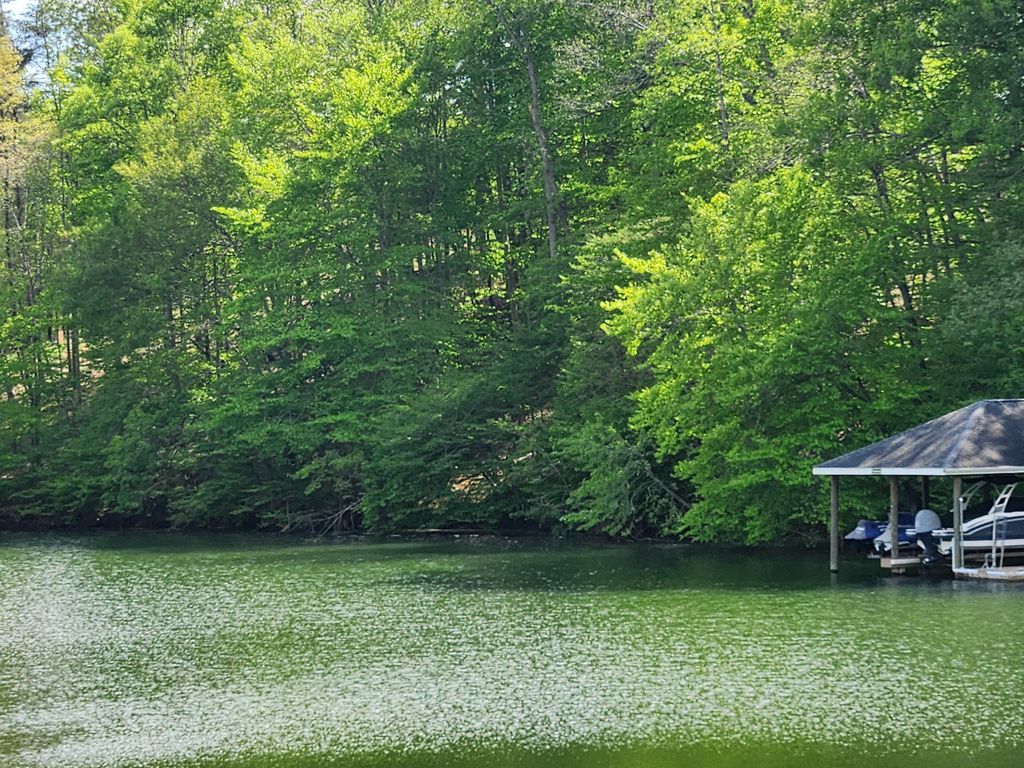 64 Lakewatch CIR, Hardy, VA 24101