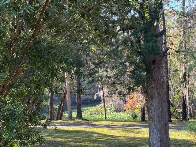 10249 NE 28TH LOOP P, Silver Springs, FL 34488