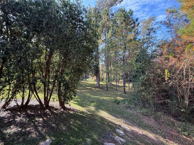 10249 NE 28TH LOOP P, Silver Springs, FL 34488