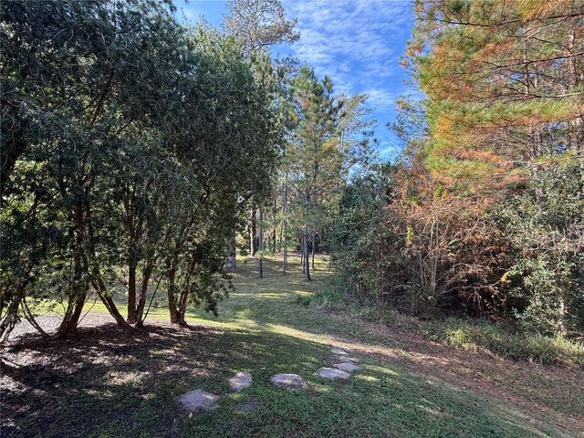 10249 NE 28TH LOOP P, Silver Springs, FL 34488