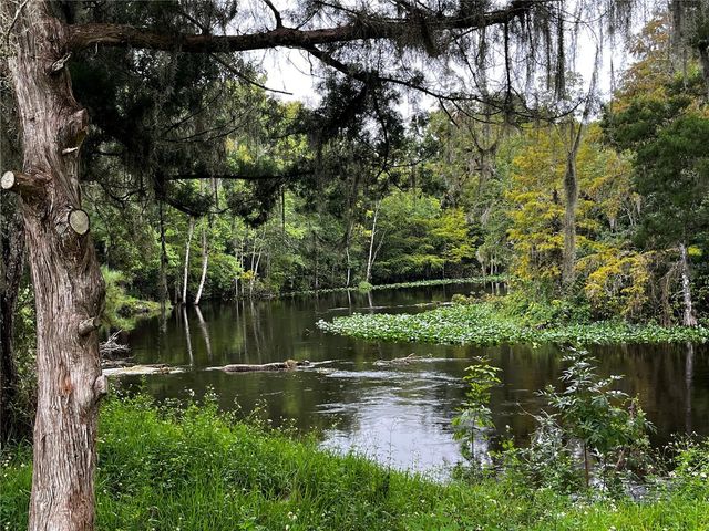 10249 NE 28TH LOOP P, Silver Springs, FL 34488