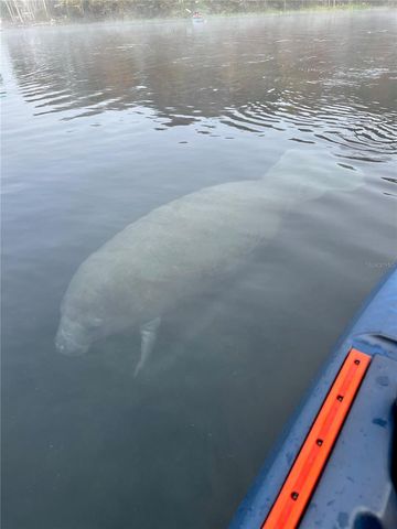 10249 NE 28TH LOOP P, Silver Springs, FL 34488