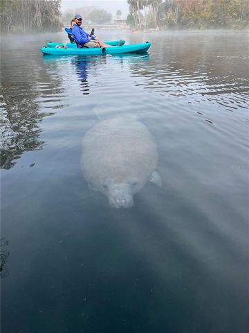 10249 NE 28TH LOOP P, Silver Springs, FL 34488