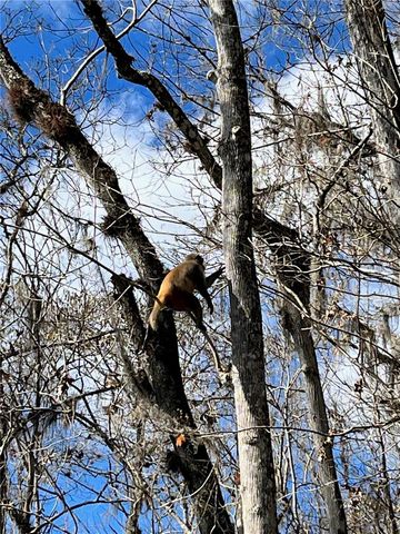 10249 NE 28TH LOOP P, Silver Springs, FL 34488