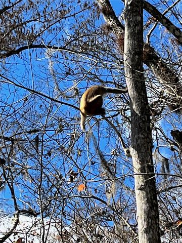 10249 NE 28TH LOOP P, Silver Springs, FL 34488