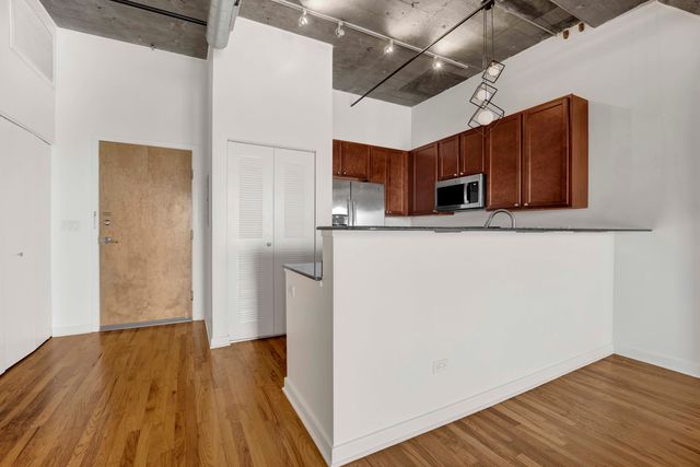 1071 W 15TH Street 314, Chicago, IL 60608