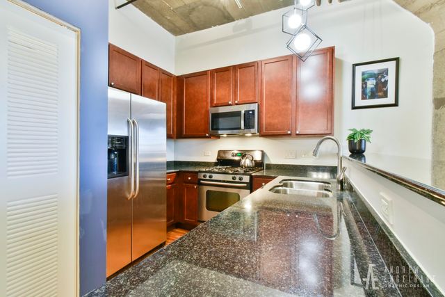1071 W 15TH Street 314, Chicago, IL 60608