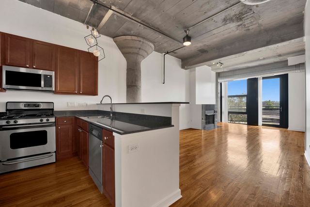 1071 W 15TH Street 314, Chicago, IL 60608