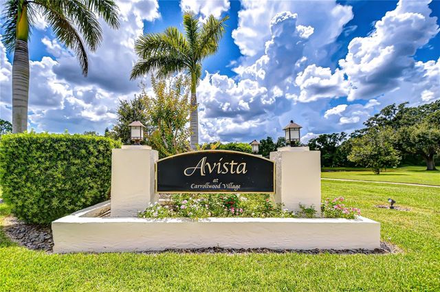 13522 AVISTA DRIVE, Tampa, FL 33624