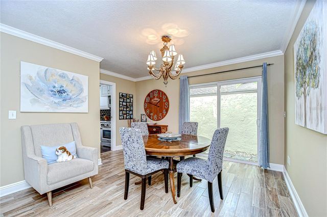 13522 AVISTA DRIVE, Tampa, FL 33624