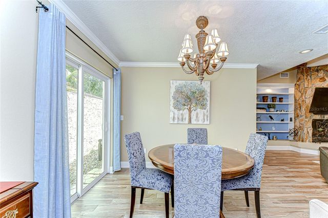 13522 AVISTA DRIVE, Tampa, FL 33624