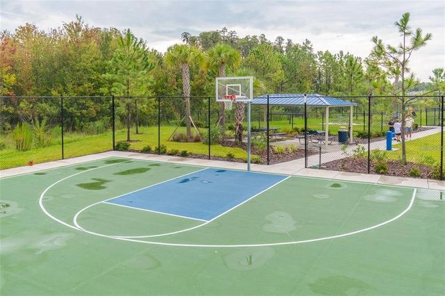 3208 LIVING CORAL DRIVE, Odessa, FL 33556
