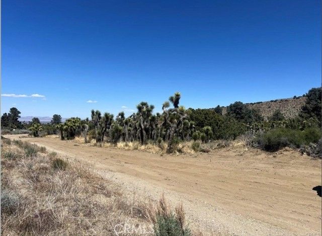 0 Evergreen Rd, Pinon Hills, CA 92372
