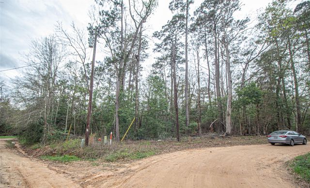 TBD Gene Autry Trail, Livingston, TX 77351