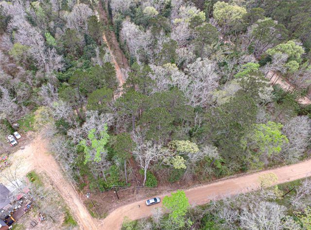 TBD Gene Autry Trail, Livingston, TX 77351