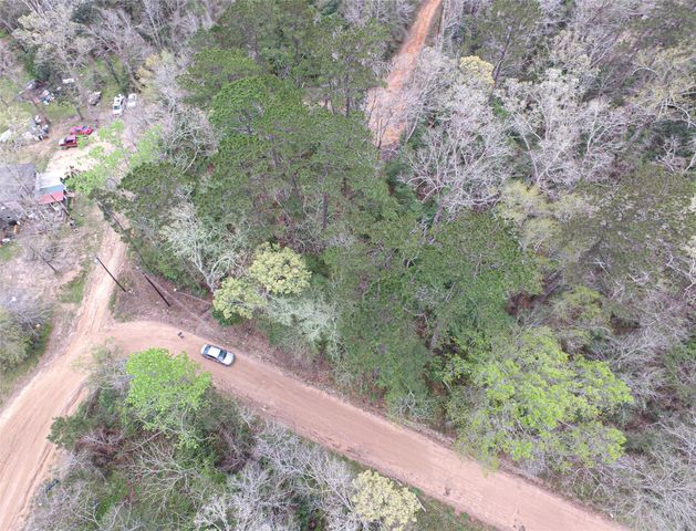 TBD Gene Autry Trail, Livingston, TX 77351