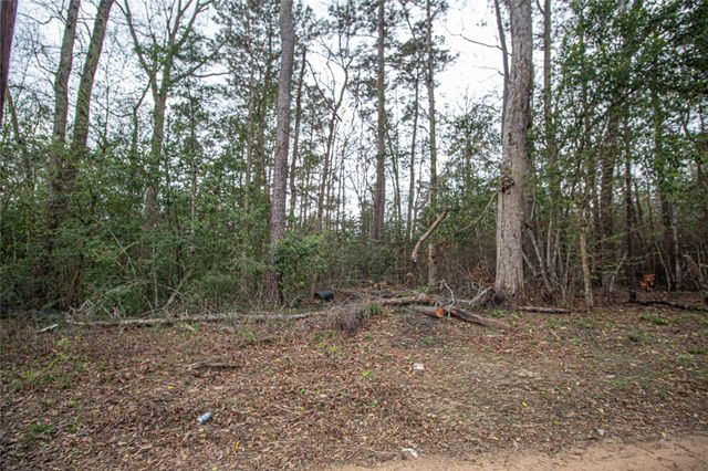 TBD Gene Autry Trail, Livingston, TX 77351