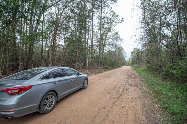 TBD Gene Autry Trail, Livingston, TX 77351