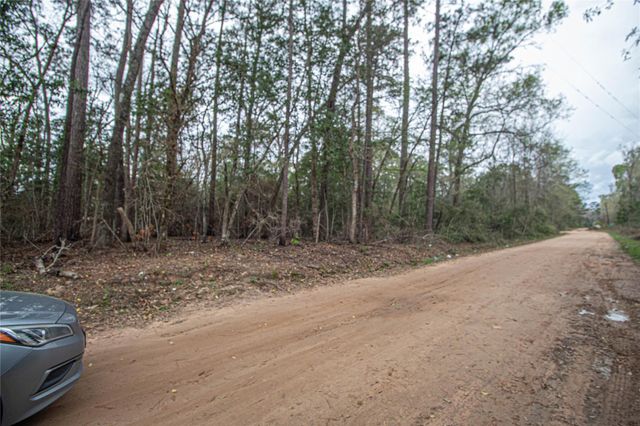 TBD Gene Autry Trail, Livingston, TX 77351