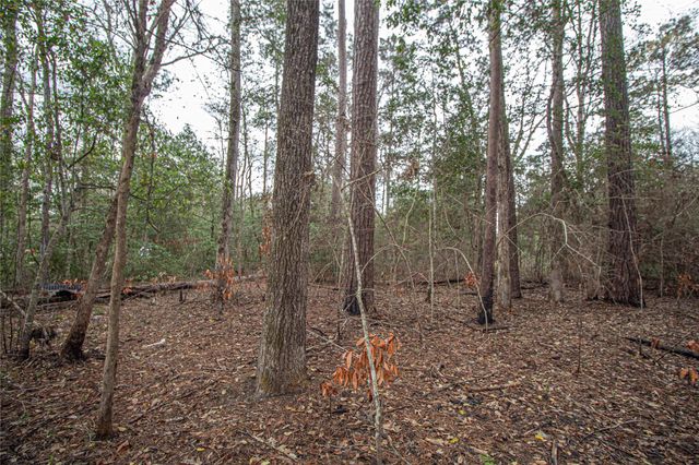 TBD Gene Autry Trail, Livingston, TX 77351