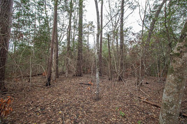 TBD Gene Autry Trail, Livingston, TX 77351
