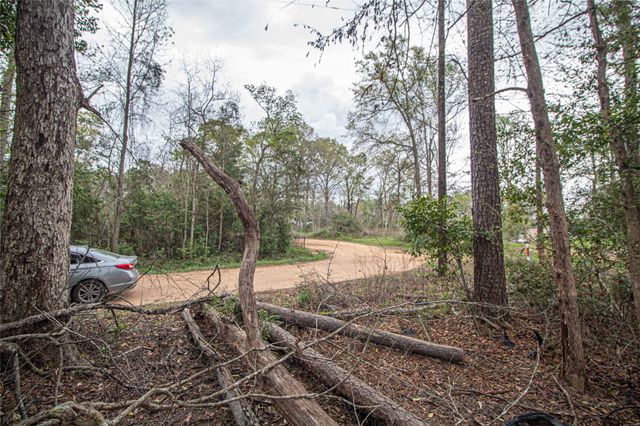 TBD Gene Autry Trail, Livingston, TX 77351