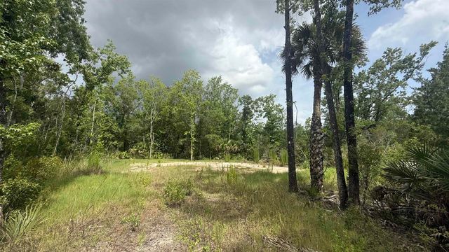 10640 Ruth Ave, Hastings, FL 32145