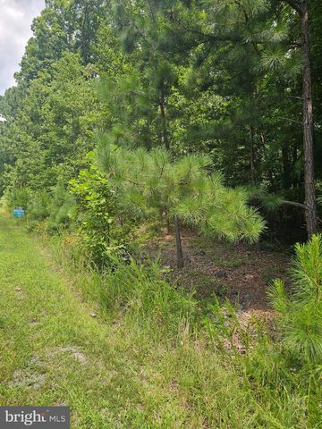 TRAVELLER, LOT 171 ST, Mineral, VA 23117