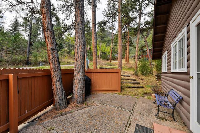 9455 Mohawk Trail, Cascade, CO 80809